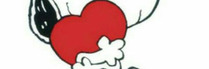 Teresa Beltran banner