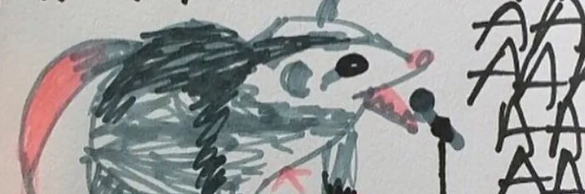 CattHkittyy's profile banner image