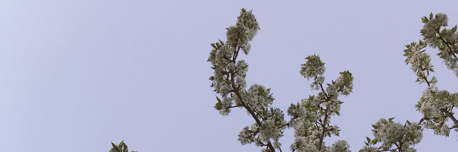 itsallgoodgrace's profile banner image