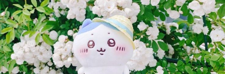 soyoung hacimware /ᐠ - ˕ -マ Ⳋ banner