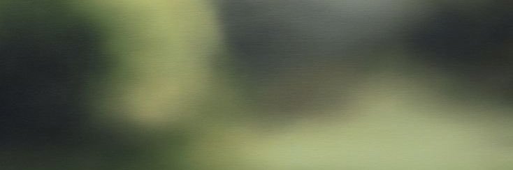 SW banner