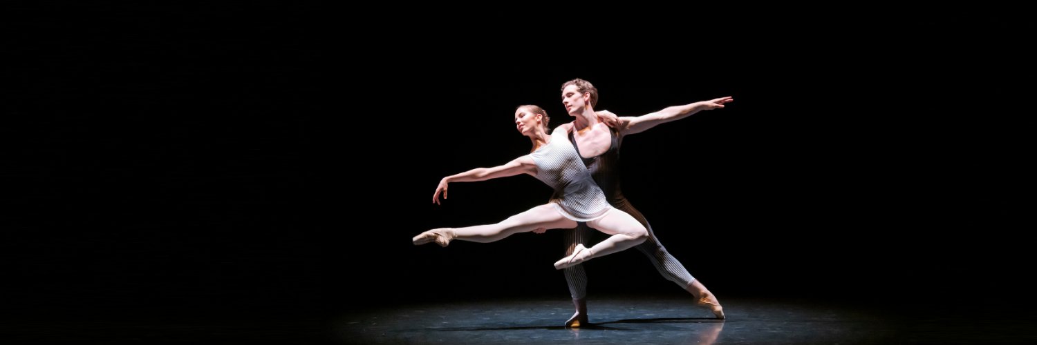 NZ School of Dance banner