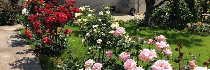 cierlypage's profile banner image