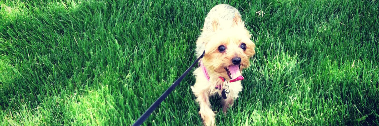 CherieTalks's profile banner image