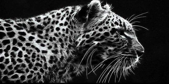 cihatdmn86's profile banner image