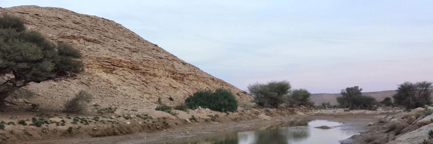 غٌــــريِب آلّـــدآر banner