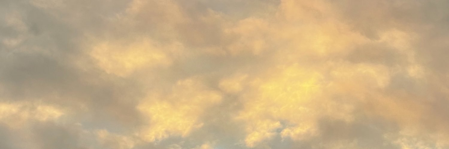 my___m1221's profile banner image
