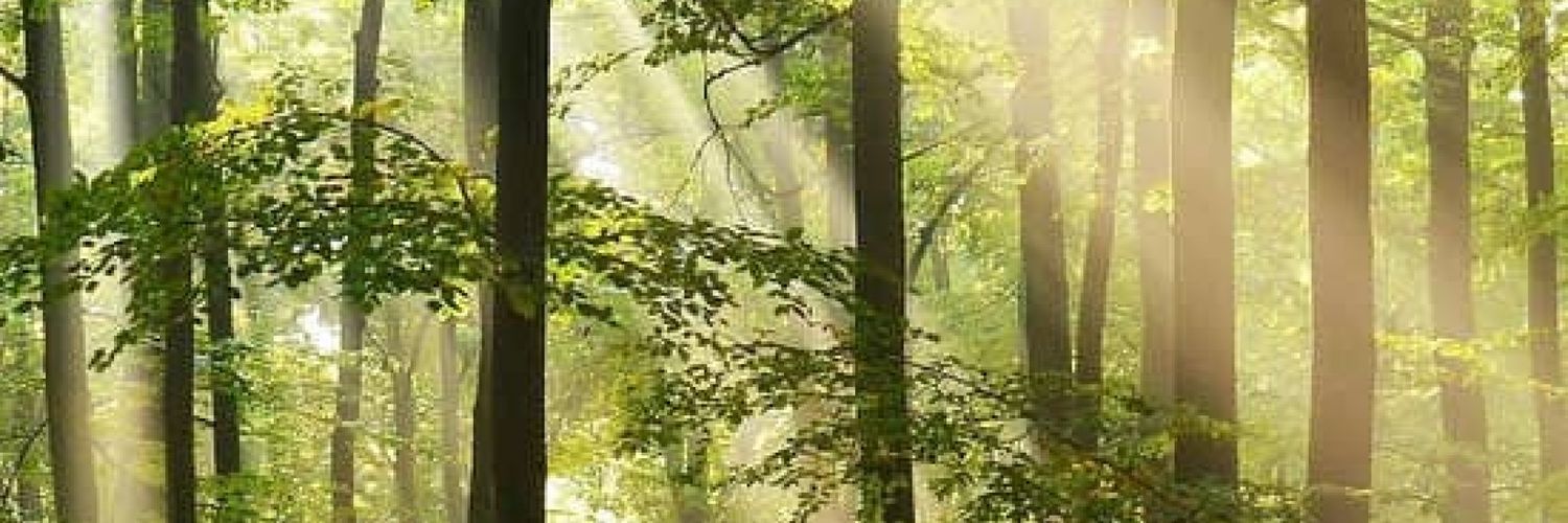 fawzy19's profile banner image