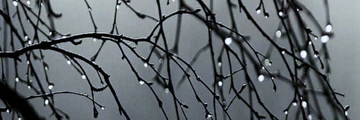 tarunbhatnagar8's profile banner image