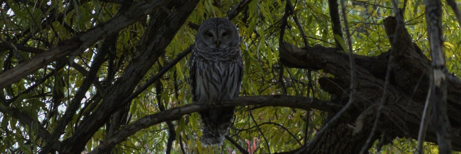 Gareth Butler メ banner