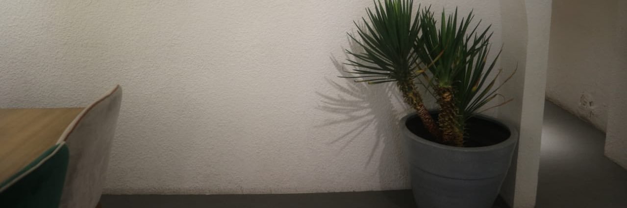 ShellaNurHandayani banner