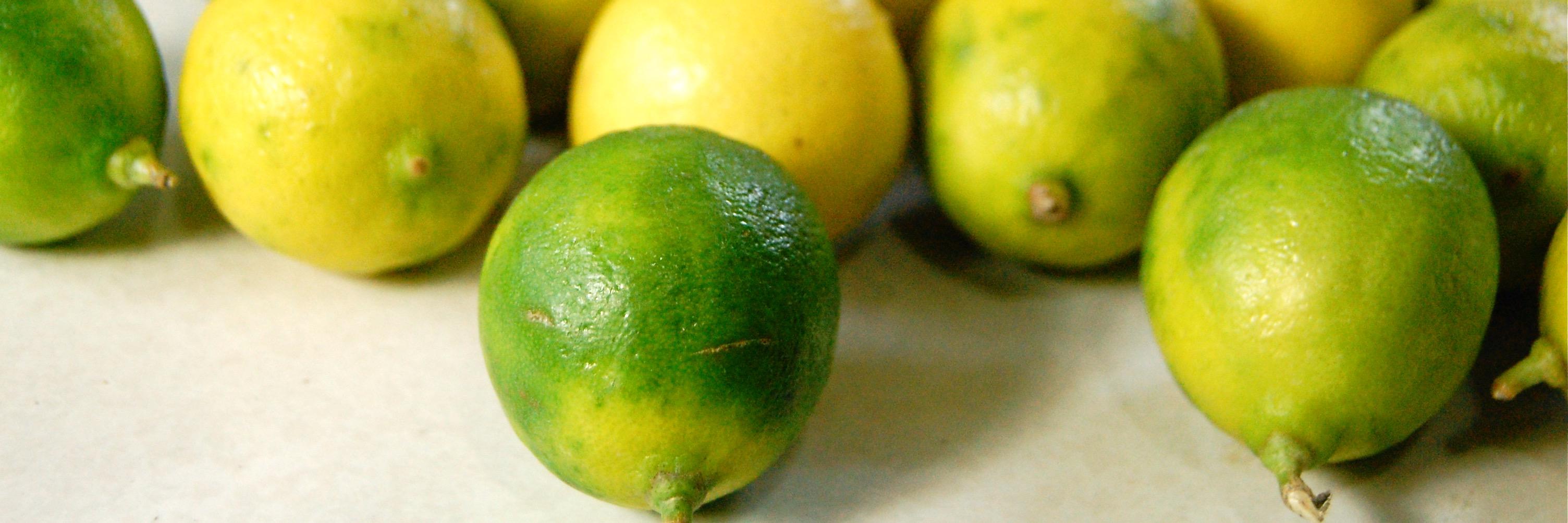 KeyLimeRepublic's profile banner image