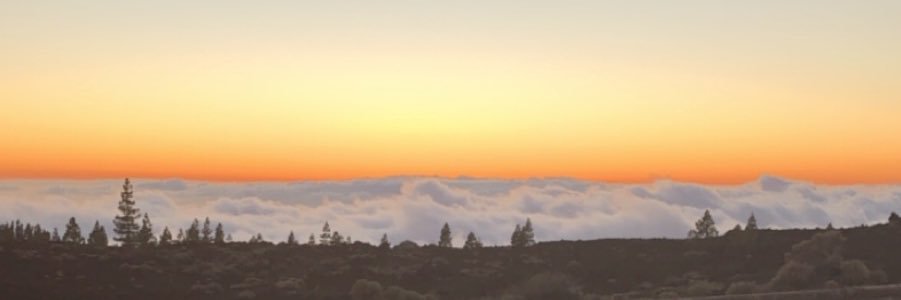 charl0ttermn's profile banner image
