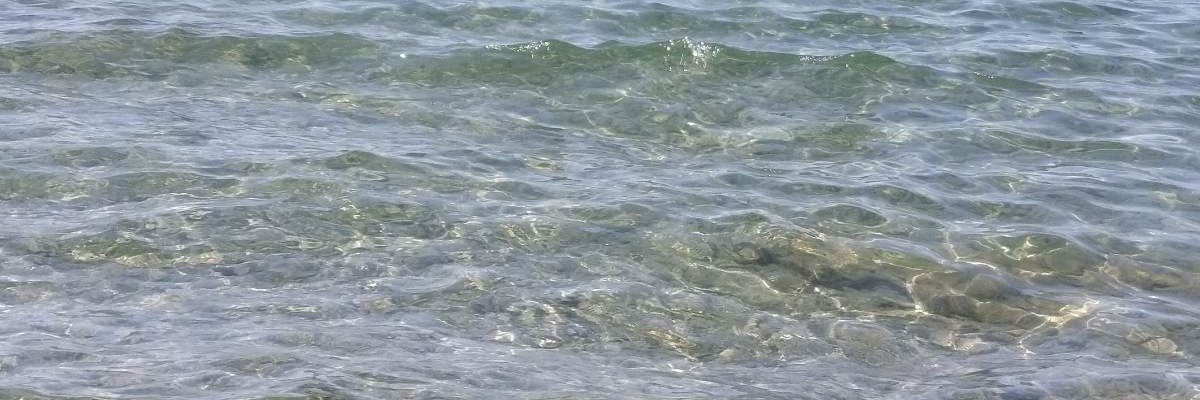 lackons's profile banner image
