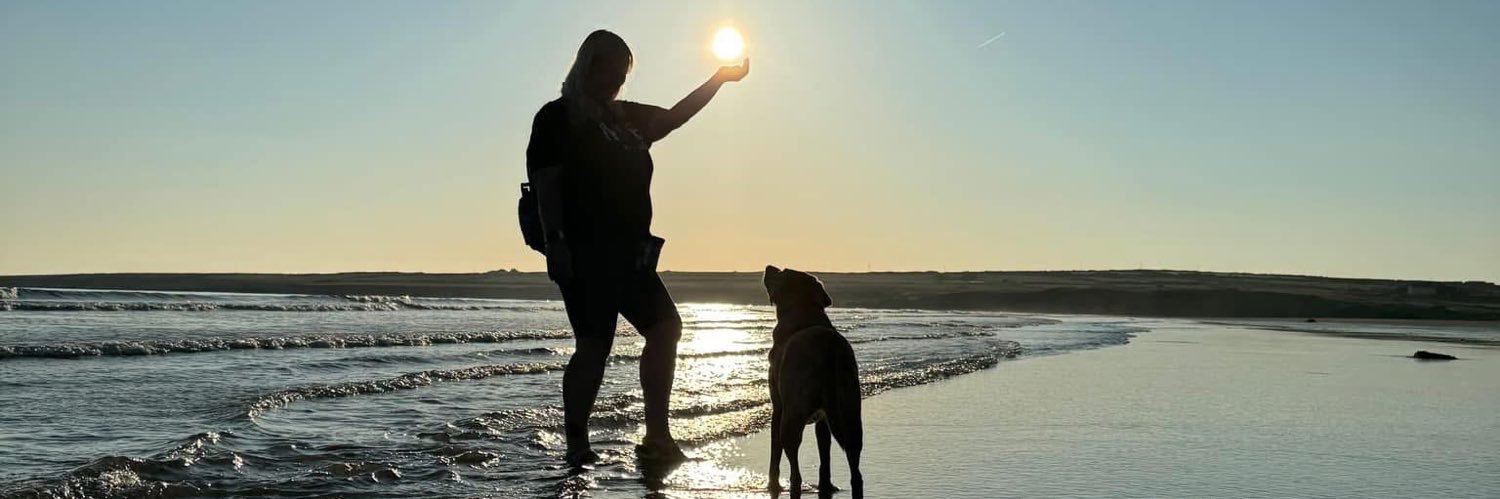 🏴󠁧󠁢󠁷󠁬󠁳󠁿 💜 Fi 💜 🏴󠁧󠁢󠁷󠁬󠁳󠁿 banner