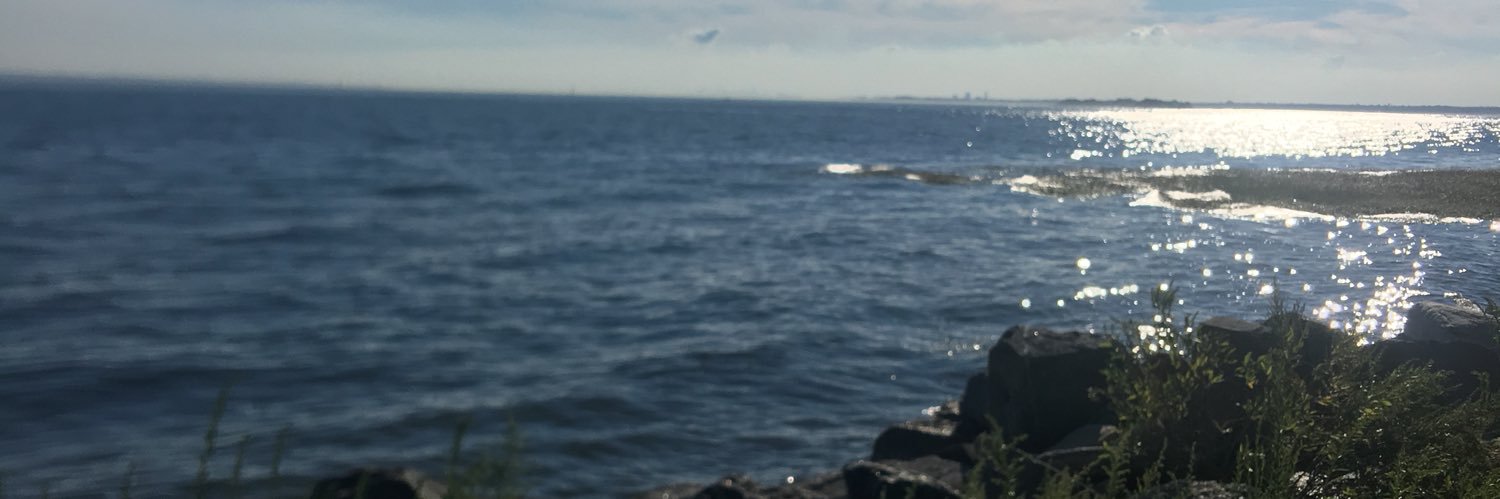 PaulaHomor's profile banner image