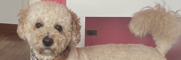 nickllens's profile banner image