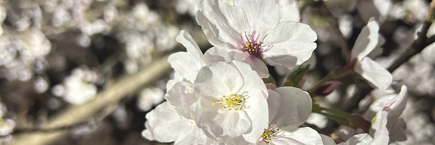 Nagomi_730's profile banner image
