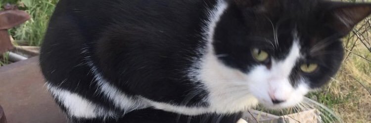 evank900's profile banner image