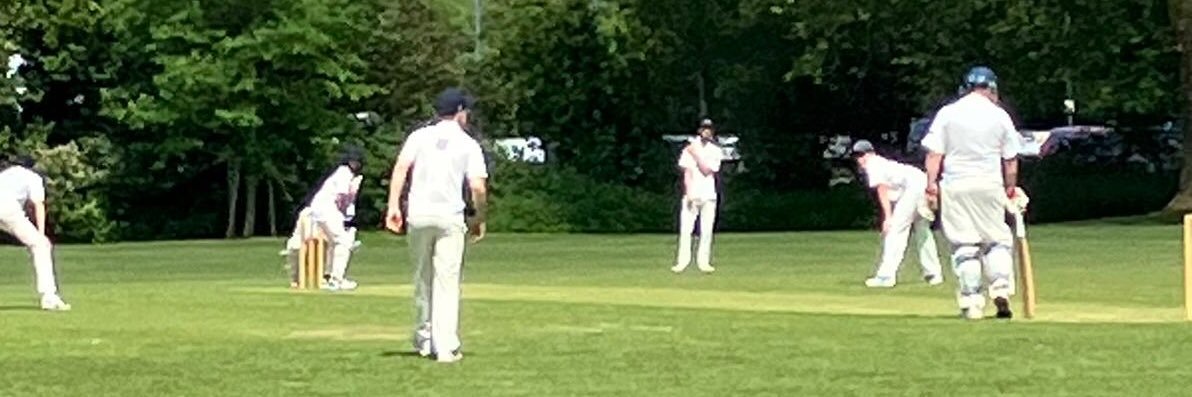 Steve Latimore banner