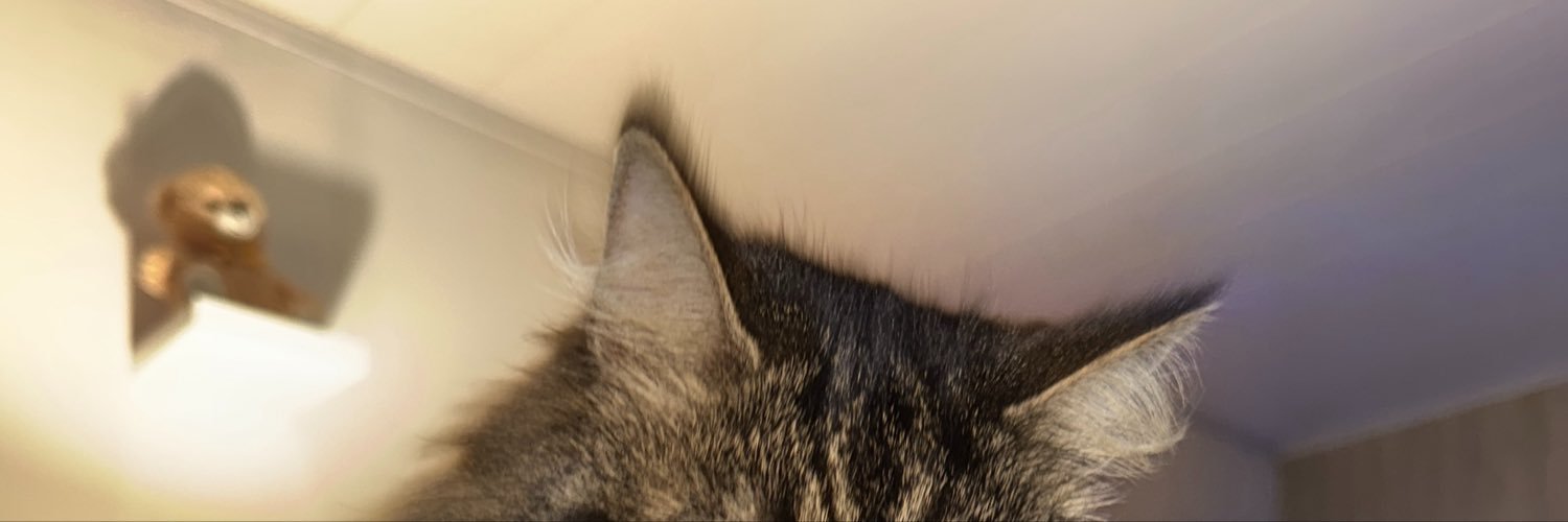 celiall_'s profile banner image