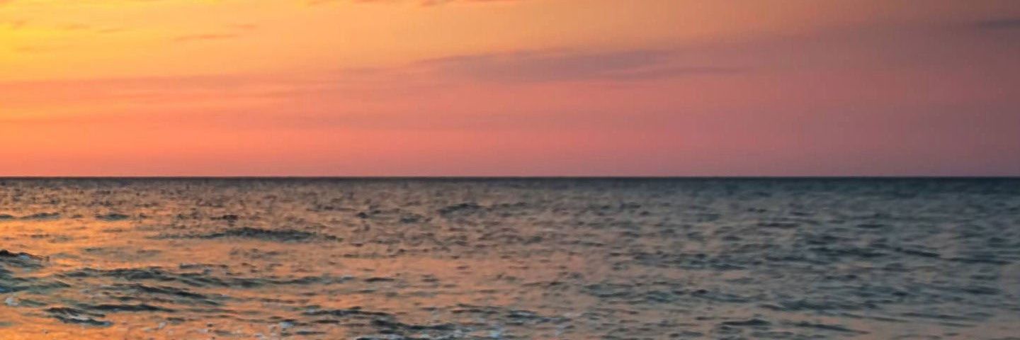 chibitrips's profile banner image