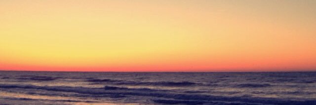 taryn_martin's profile banner image