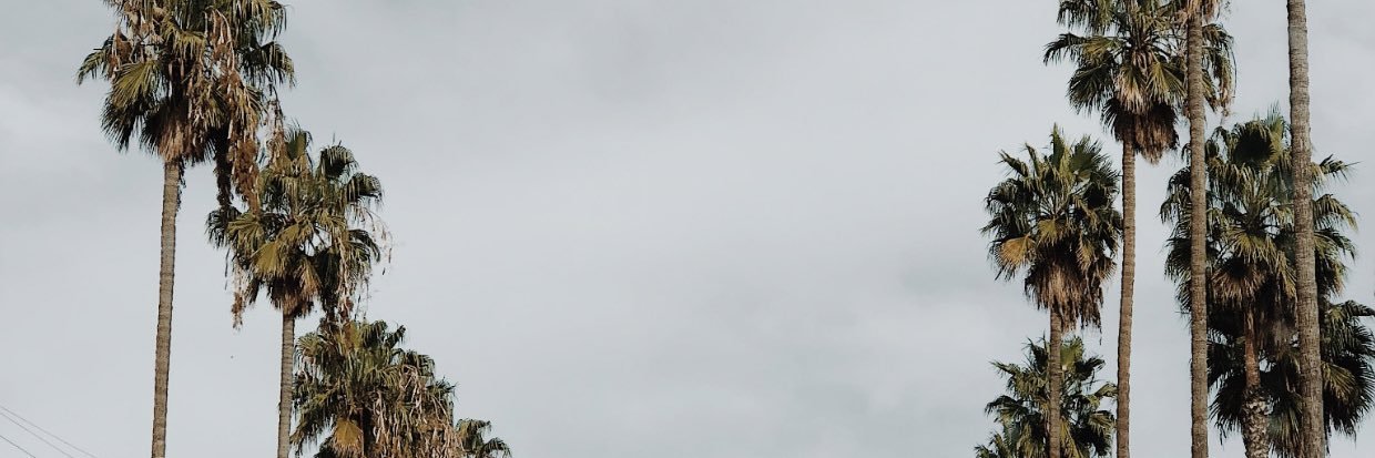 karikersh_'s profile banner image