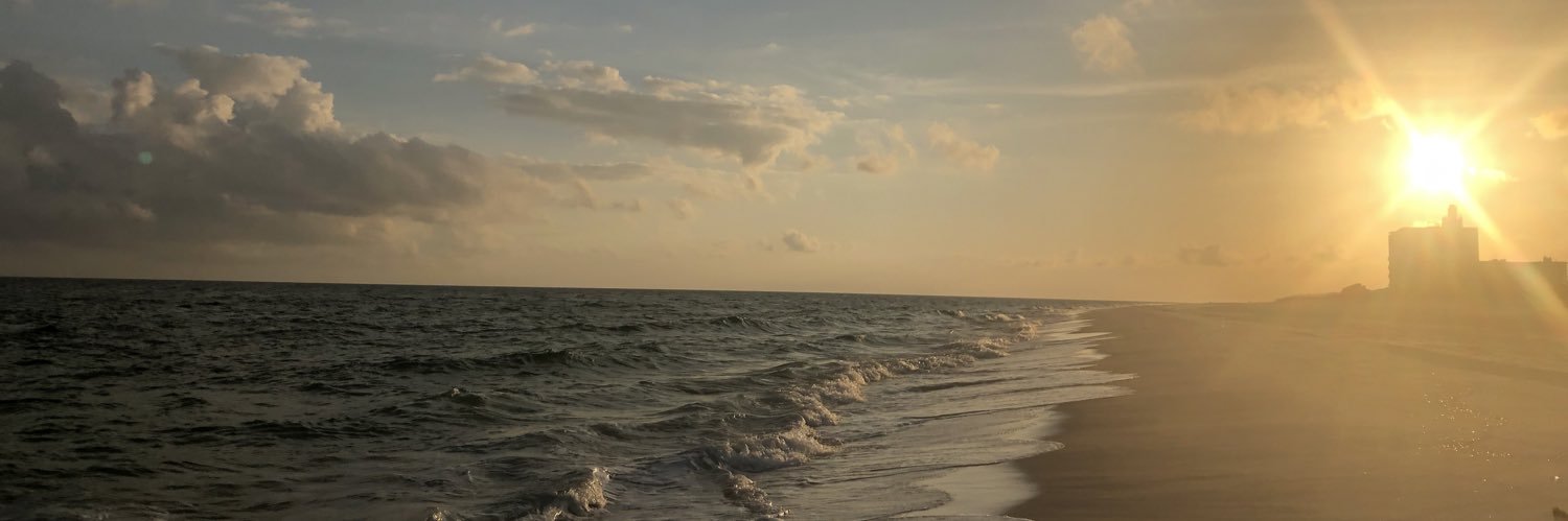 MarySuddath1's profile banner image