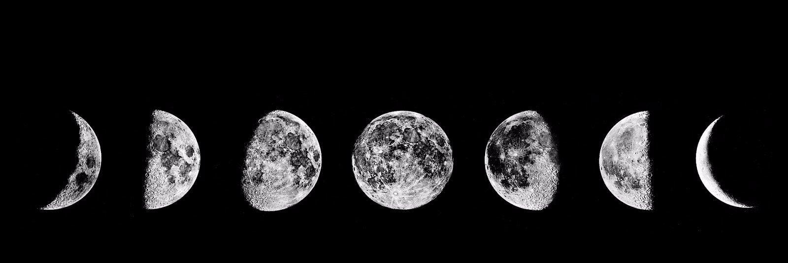STONERS__CLOSET's profile banner image