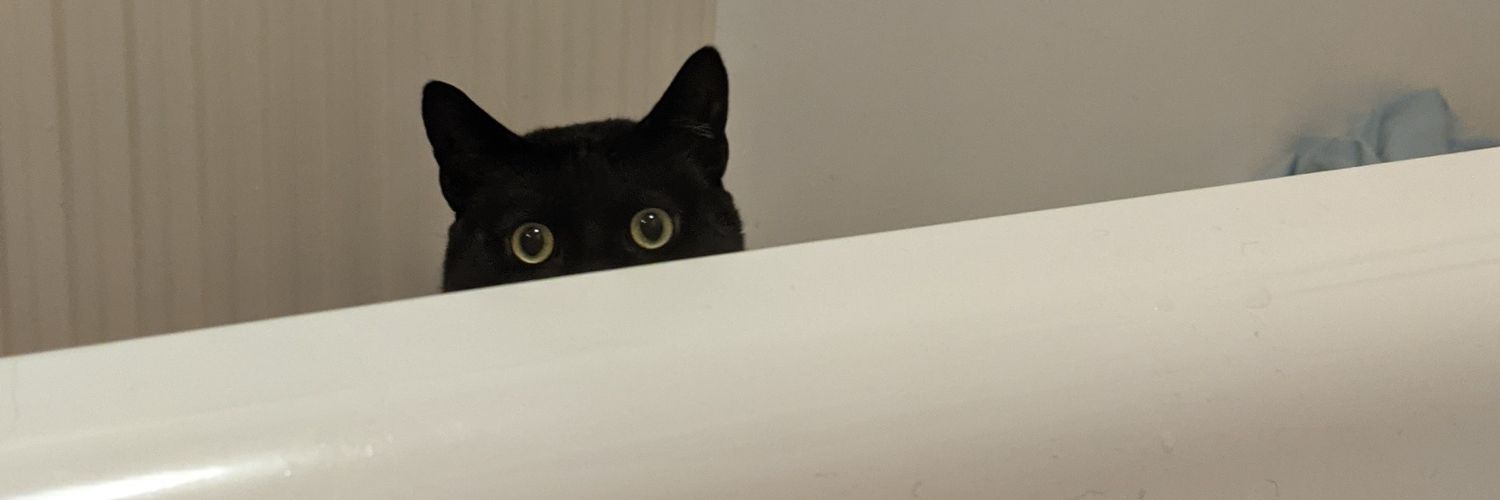 MeaghanSpencer's profile banner image