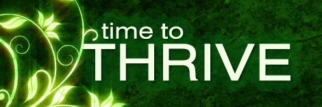 KittensBeauties's profile banner image