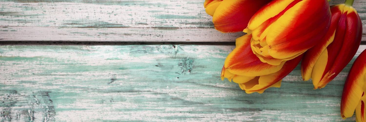 Alpine_Bank's profile banner image
