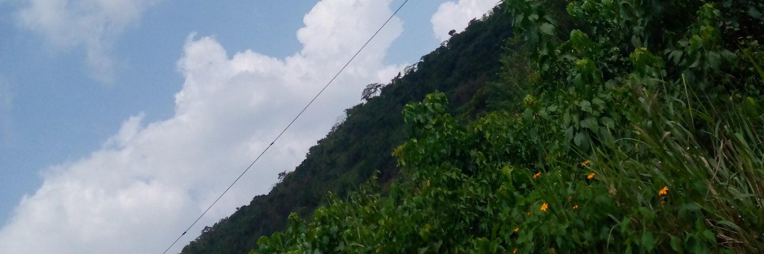 Lamis_Place's profile banner image