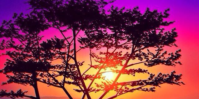 laaais_angel's profile banner image