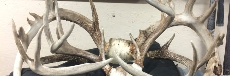 JoeyodonnellJoe's profile banner image