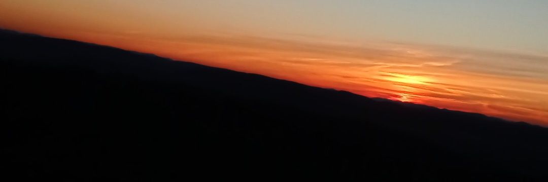 msanzm8's profile banner image