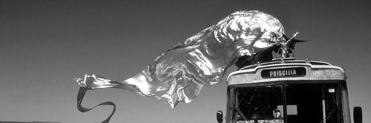 QANicholson's profile banner image