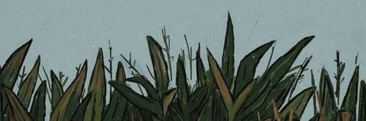 kexxno's profile banner image