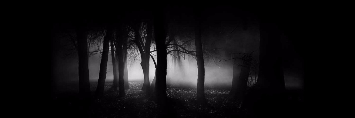 Ldefinis's profile banner image