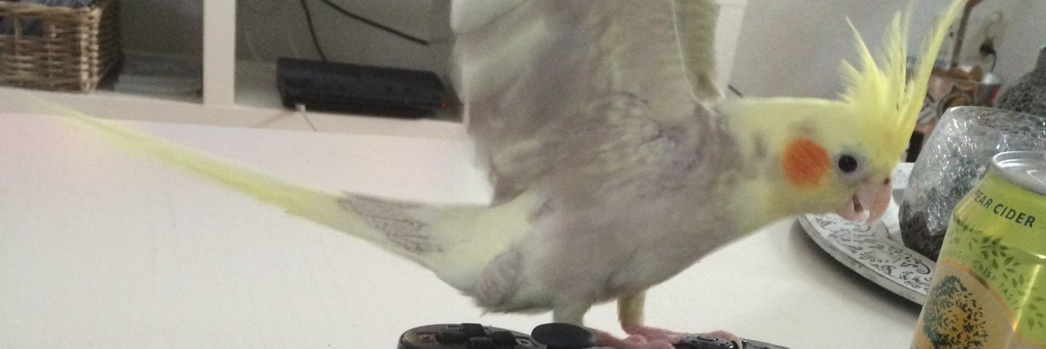 SnabbTjockis's profile banner image