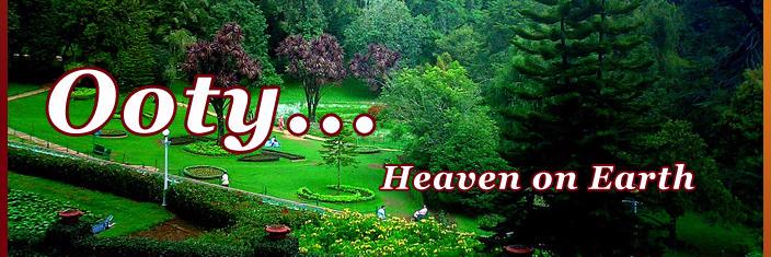 bliss_ooty's profile banner image