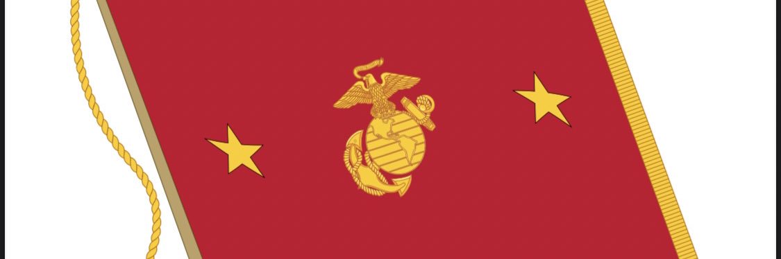 Sergeant Major Carlos A. Ruiz's banner