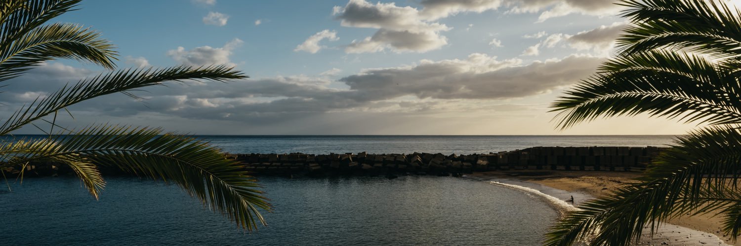 michelino's profile banner image