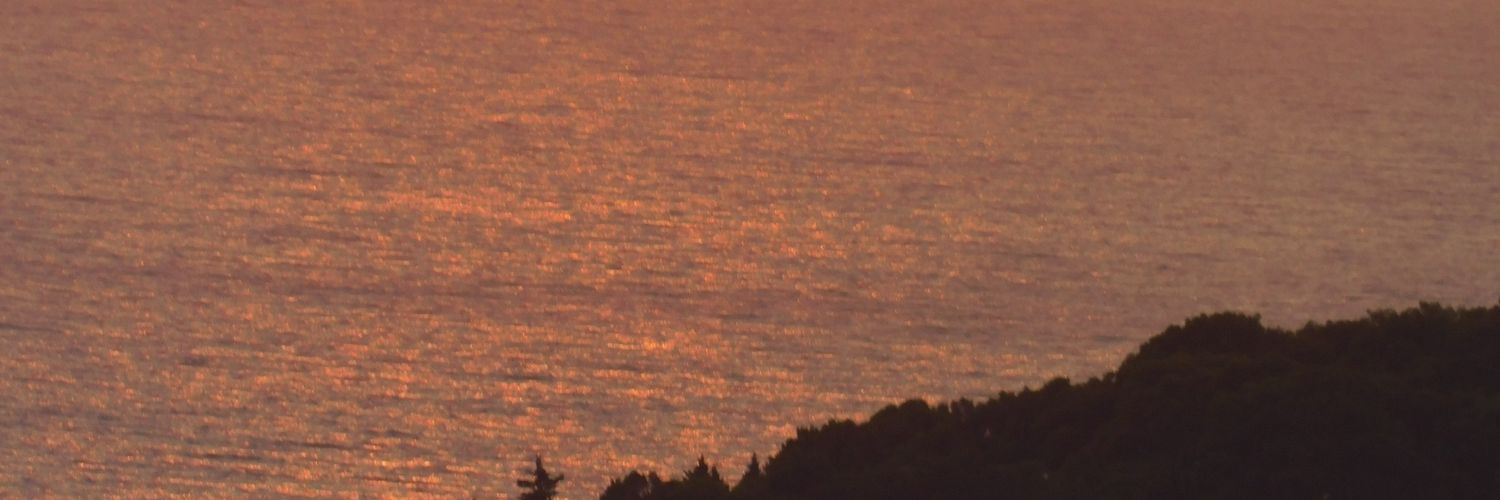 Jason Nee banner