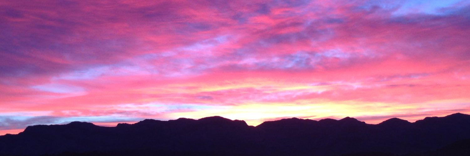 Rosa Salvador banner