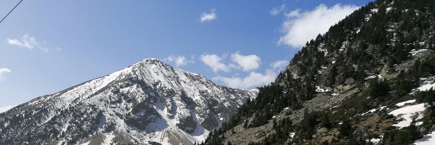 Marc Gargallo banner