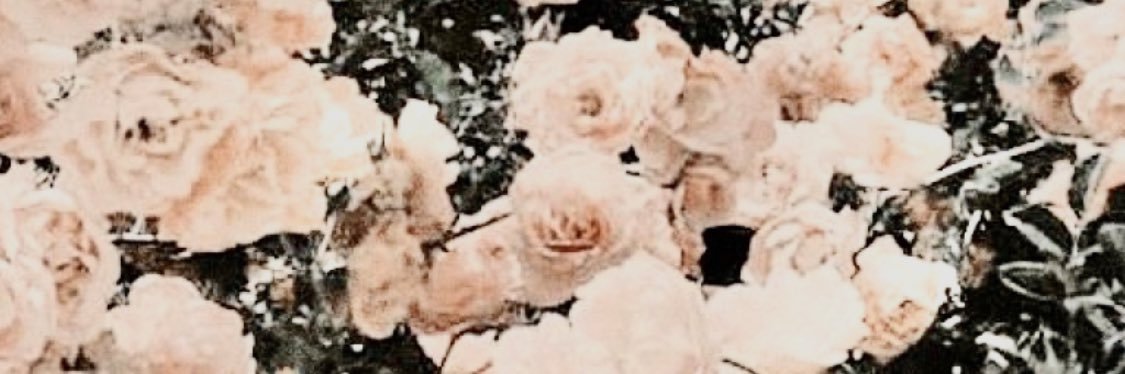jonaconstantino's profile banner image