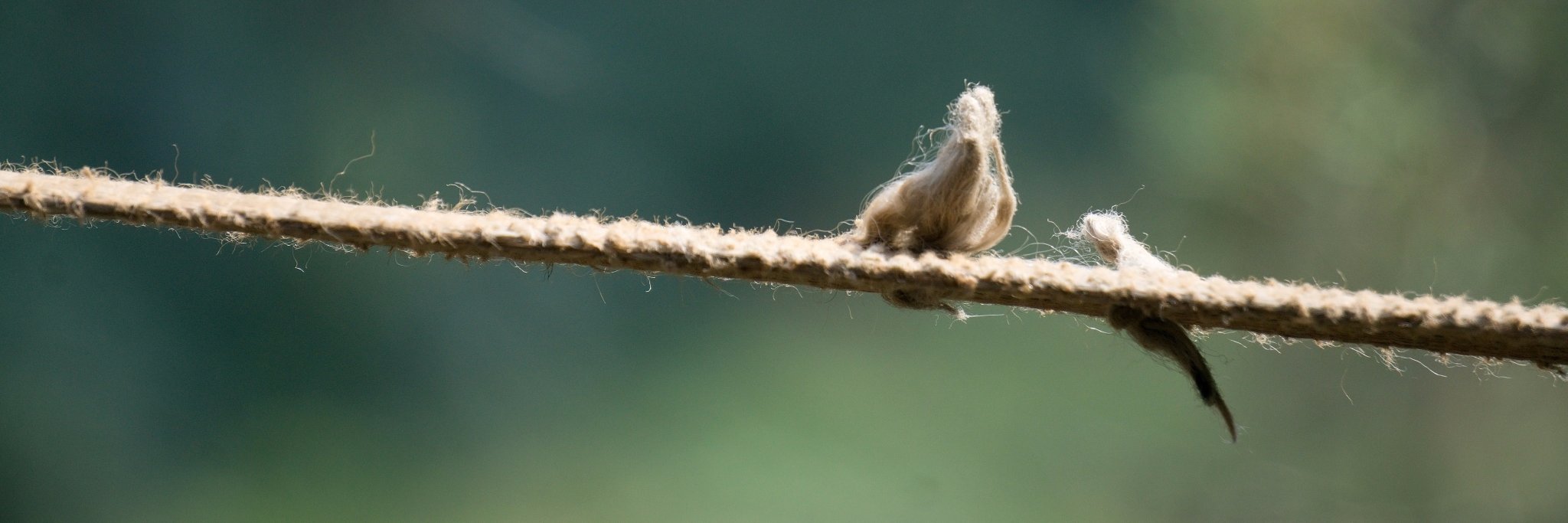 🟨 Lukáš Pelc ⬛ 🥔 banner