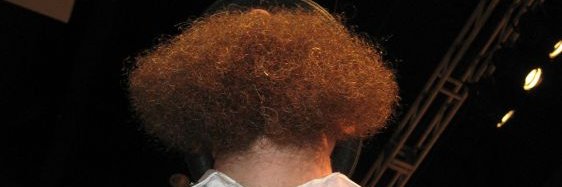 beardsfrombelow's profile banner image